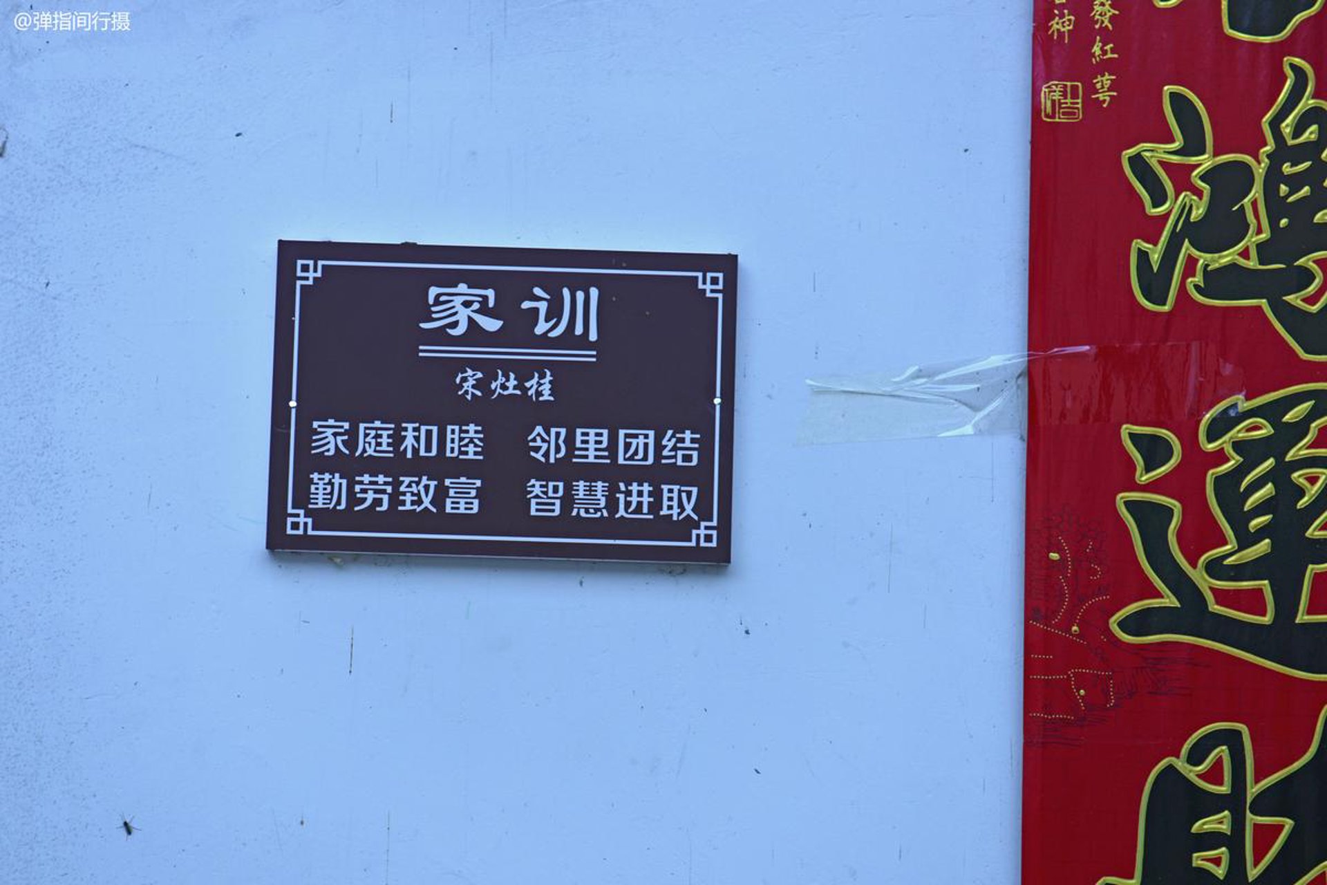 花念鲜花