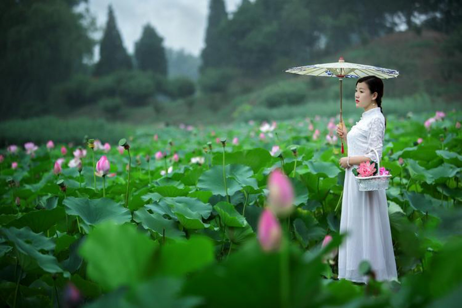 花念鲜花